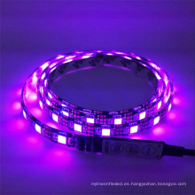 IP20 IP65 12V 24V 300Leds rgbw 5050 iluminación llevada flexible de la tira